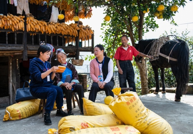 印江土家族苗族自治县文化局最新项目动态概览