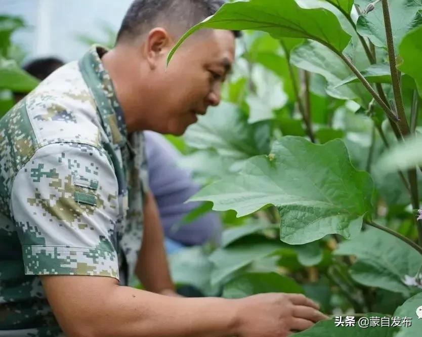 蒙自县住房和城乡建设局最新发展规划概览