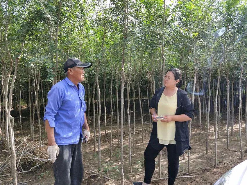 额尔登布拉格苏木乡天气预报更新通知