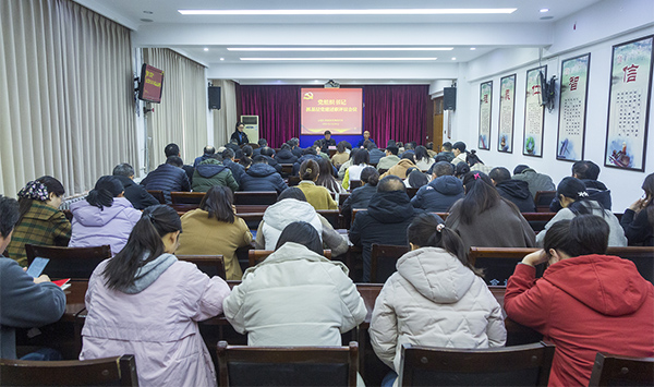 霞山区发展和改革局领导团队，引领区域发展的核心力量新貌