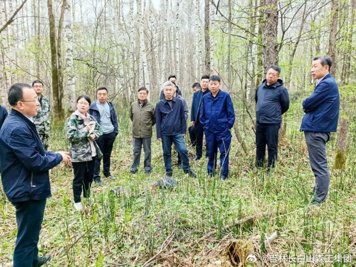 太东林场最新新闻动态报道