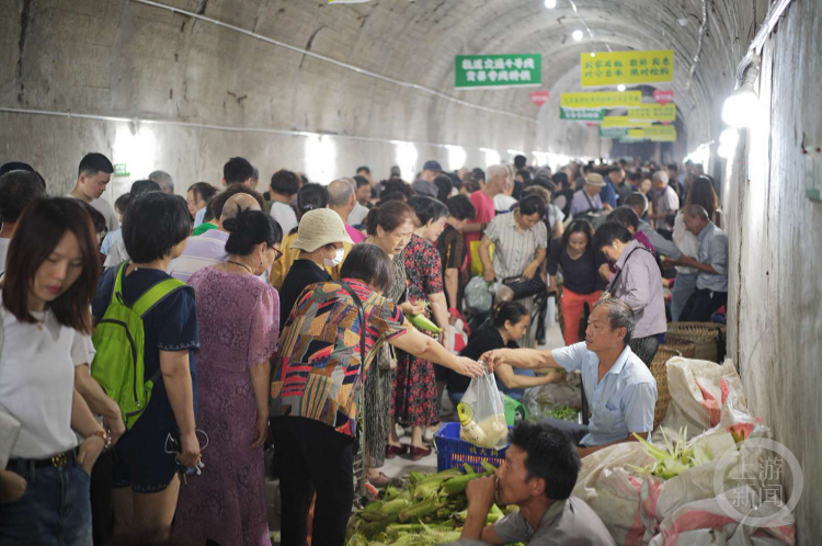 菜市街道新项目重塑城市风貌，助力社区发展升级