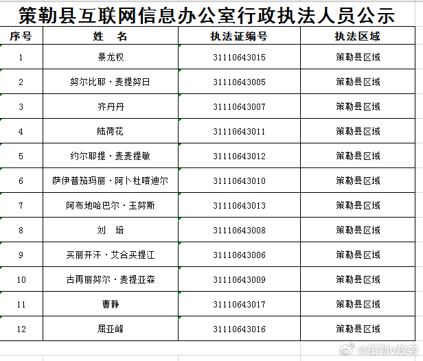 精河县数据和政务服务局最新发展规划深度探讨