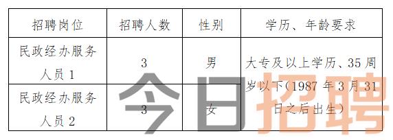 老边区民政局最新招聘信息