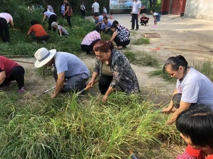 孟寺镇新项目，地区发展新动力引领未来