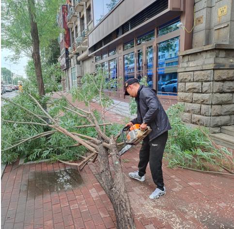 榆树市自然资源和规划局最新项目概览