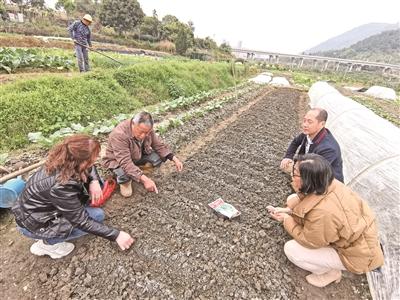 霞浦县科技局最新发展规划展望