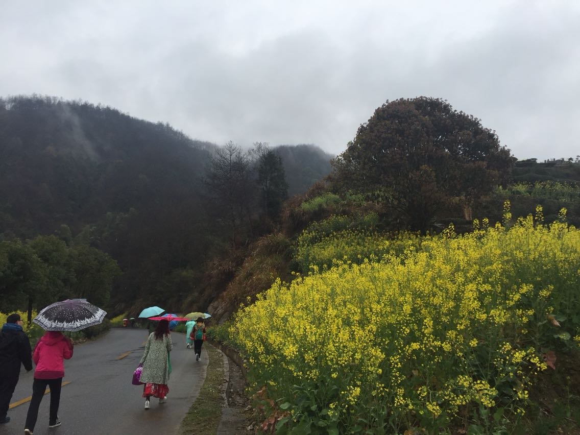 黄雷乡最新天气预报