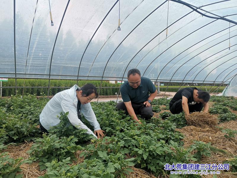 二龙山蚕种场最新新闻报道