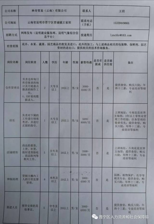 晋宁县数据和政务服务局招聘公告解析