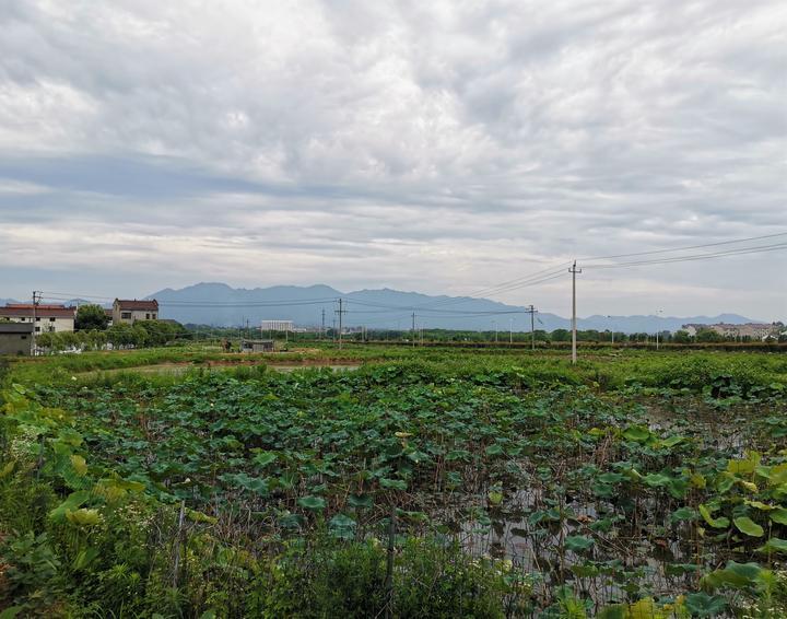 八里湾乡新项目，引领乡村发展的强大动力源泉