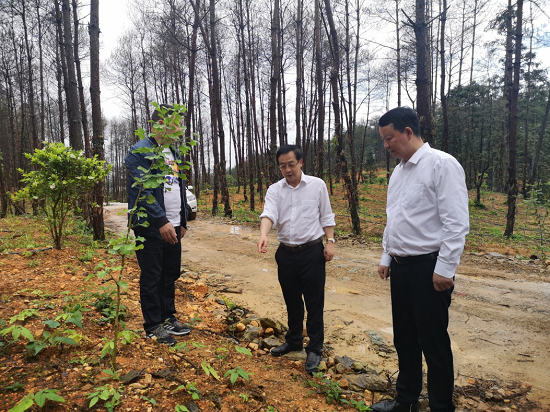 锦屏县农业农村局最新新闻