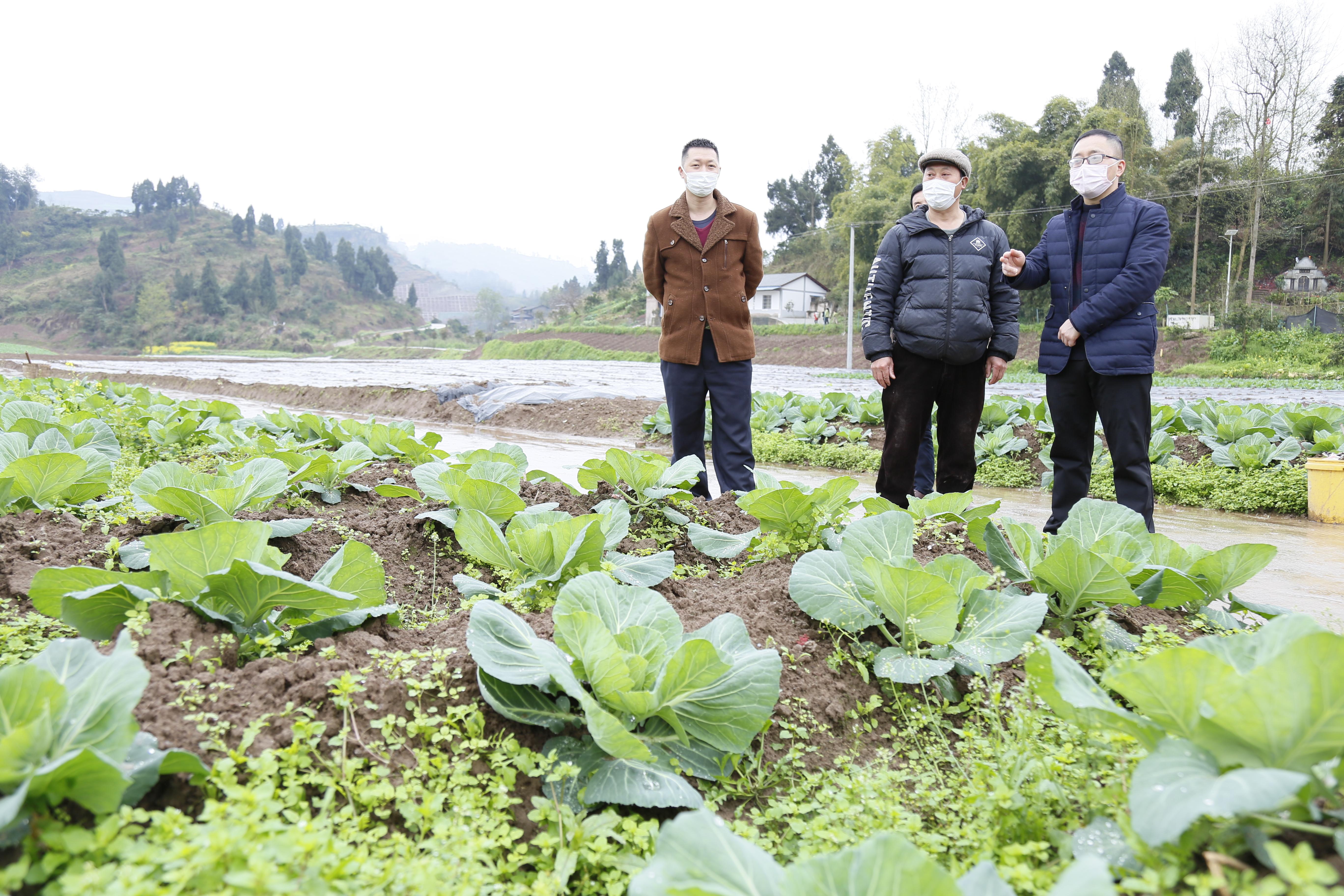 文武村新项目启动，乡村振兴新篇章开启