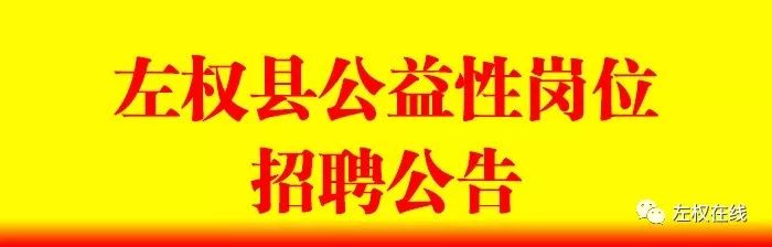 左云县医疗保障局招聘信息更新与动态分析简报